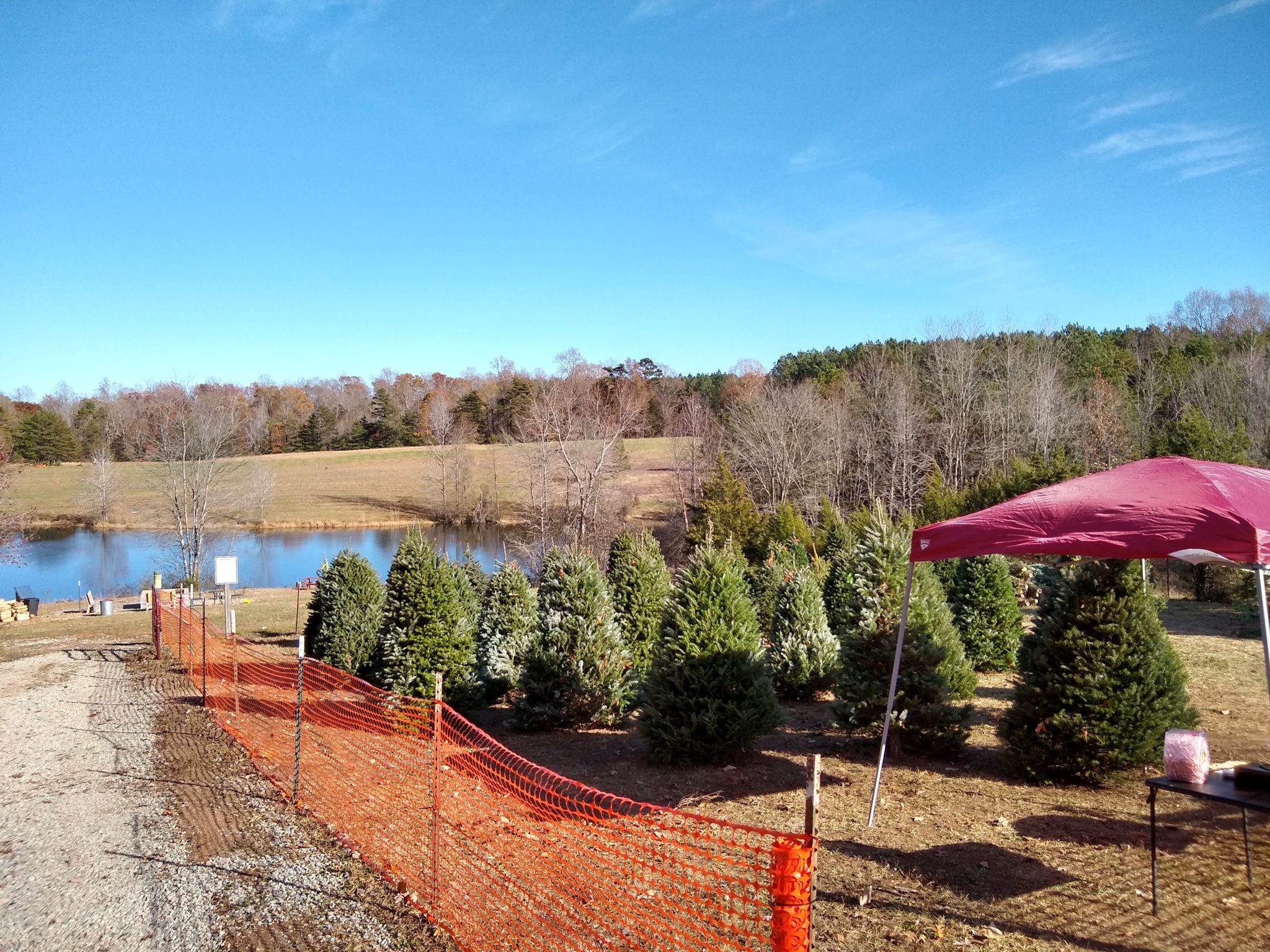 Woods Tree Farm Amelia, Powhatan, Midlothian Christmas Tree Farm