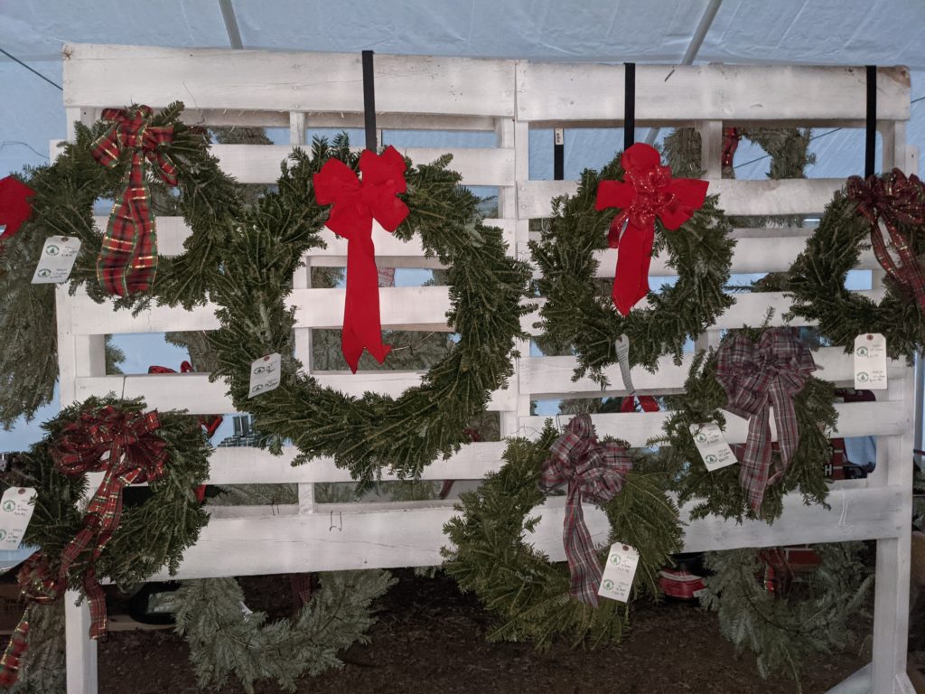 PXL_20211205_020544907